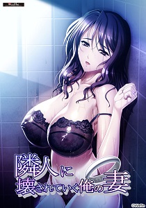 Постер Rin to Shita Tsuma wa, Hitoshirezu Midarazuma e to Ochite