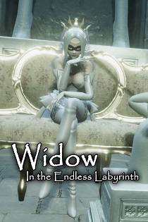 Постер Widow in the Endless Labyrinth